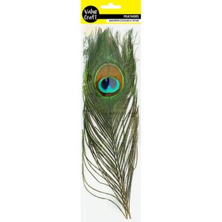 FEATHERS PEACOCK EYES 2PC