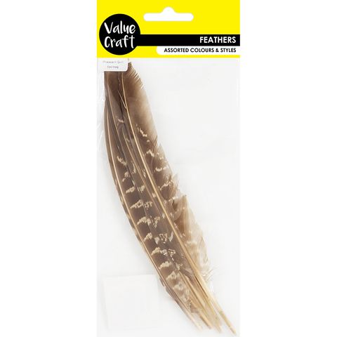 FEATHERS PHEASANT QUILL NATURAL 5PC