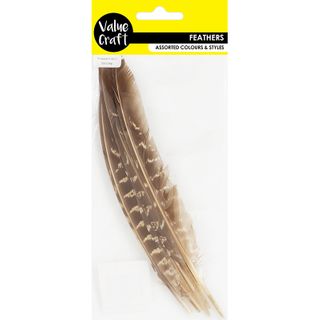 FEATHER PHEASANT QUILL NATURAL 5PC