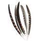 FEATHER PHEASANT QUILL NATURAL 5PC