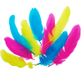 FEATHERS GOOSE SATIN BRIGHT MIX 6G