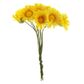 FLOWER DAISY YELLOW 10PCS
