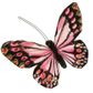 Butterfly 11.5x9cm Soft Pink 1Pc