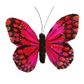 Butterfly 11.5x9cm Hot Pink 1Pc
