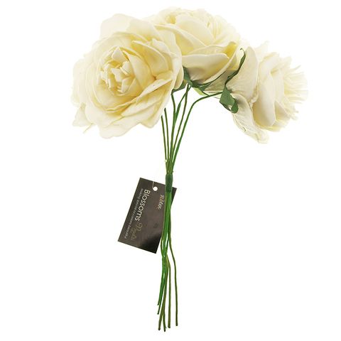 Foam Peony 6H Bunch Cream