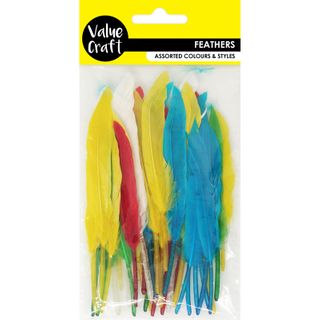 FEATHERS  BRIGHT ASSORTED BRIGHT 6G