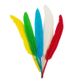 FEATHERS  BRIGHT ASSORTED BRIGHT 6G