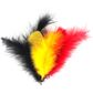 FEATHERS BLACK RED YELLOW 10G