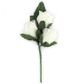 Closed Rose Head 30Mm Ivory 3Pc