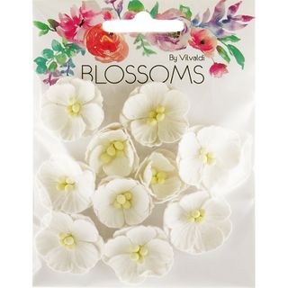 Embossed Daisies White 10Pcs