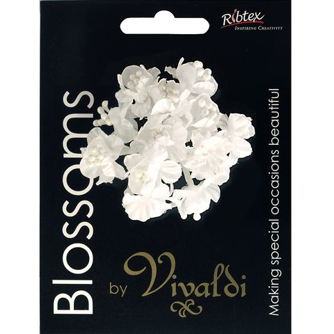 Flower Poly with Pearl Stamens White