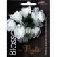 Flower Organza Ribbon   Lace 6Head Ivory