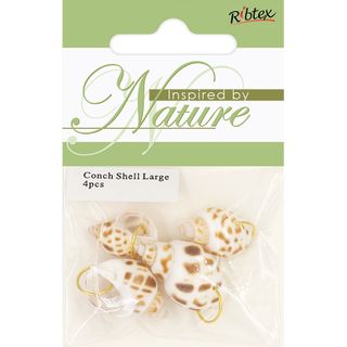 CONCH SHELL WITH RING LARGE 4PCS