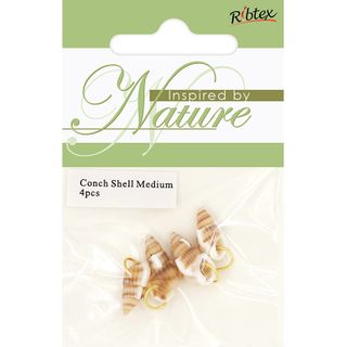 CONCH SHELL WITH RING MEDIUM 4PCS