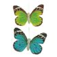 Butterfly 9x6cm Blue-Green 2Pcs