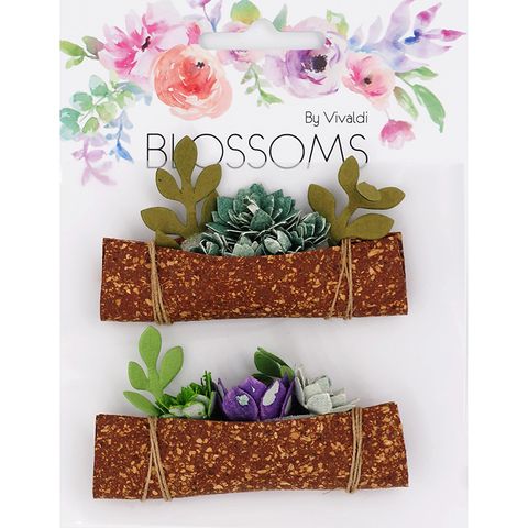 Succulent Boat 2Pcs