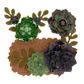 Succulent Tag 3Pcs