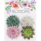 Vivid Succulent 4Pcs
