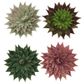 Vivid Succulent 4Pcs
