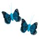 Butterfly Feather 4cm Turquoise 4Pcs