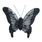 Butterfly Gauze 6.5cm Black 2Pcs