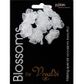 Flower Organza Pearl Daisy 8Head White