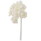 Flower Organza Pearl Daisy 8Head Ivory