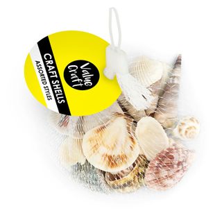 SHELLS ASSORTED STYLES NATURAL 100G