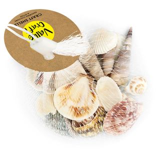 SHELLS ASSORTED STYLES NATURAL 100G