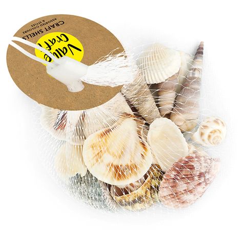 SHELLS ASSORTED STYLES NATURAL 100G