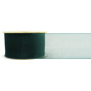 RIB 38MM ORGANZA FORREST 4M