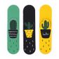 Magnetic Cactus Bookmarks 3Pc