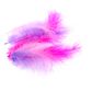 FEATHERS HOT PK-LAV-SOFT PK 10G