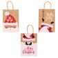 XMAS PAPER BAGS 20.7x15CM ASSORTED 3PCS