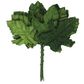 Flower Leaf Velvet Oak Green 12Pcs