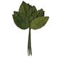 Flower Leaf Velvet Rose Medium Green