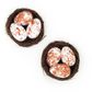 Easter Egg Nest 2pcs