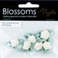 Grub Rose with Leaves 10mm Cream 6Pcs