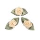 Grub Rose with Leaves 10mm Cream 6Pcs