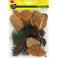 XMAS FOLLIAGE MIXED SET 50G