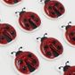 Jenni B Sticker Ladybirds Resin 15pc