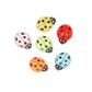 FG RESIN LADY BUG MULTI 6PC