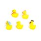 FG DRESSED UP DUCKS 5PC