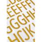 ALPHA FOAM GLITTER GOLD