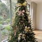 XMAS RIBBON WIRE EDGE HOLLY 55 ROLL MIX