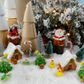 XMAS MINI RESIN DUCKS W HATS 6PCS