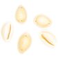 SHELL COWRIE BEAD W 2 HOLS 25G