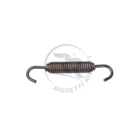 Swivel Spring L70 x 10