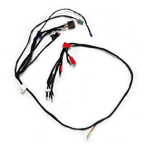 Wiring Harness Evo 2