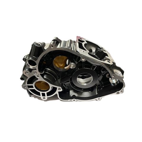 Crankcase Assembly DD2 Evo